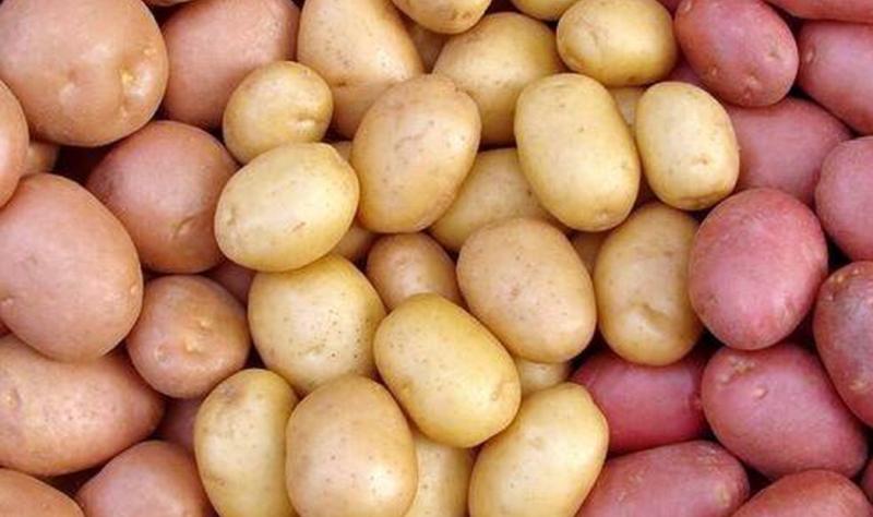 ziemniaki wcale nie są tuczące!